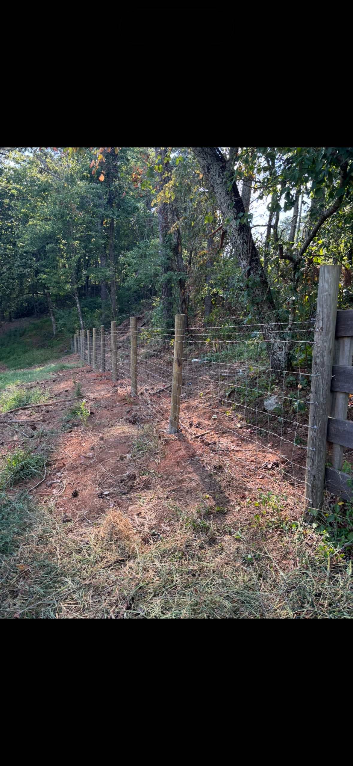 Wood-post and field-wire agricultural fence installed by Fleming Fencing along a wooded north Georgia pasture
